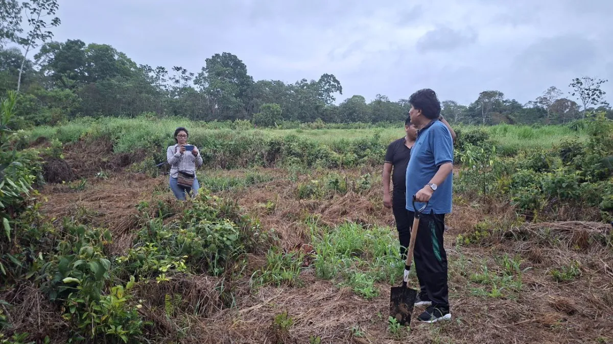 Evo Morales inicia el Día del Árbol con plantación de cítricos en el trópico de Cochabamba