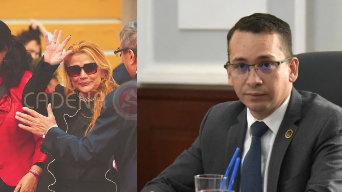 Insólito! TSJ: “Asumimos errores institucionales” Saucedo le pide perdón a  Añez