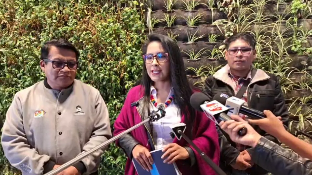 13 días de desorden: Wilma Alanoca pide a Paz y Lara reunirse para salvar crisis económica