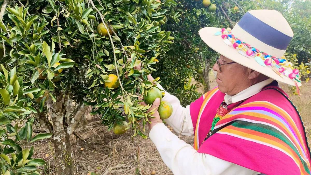 Evo Morales: "La Madre Tierra tiene más derechos que nosotros" en su homenaje por el Día Internacional