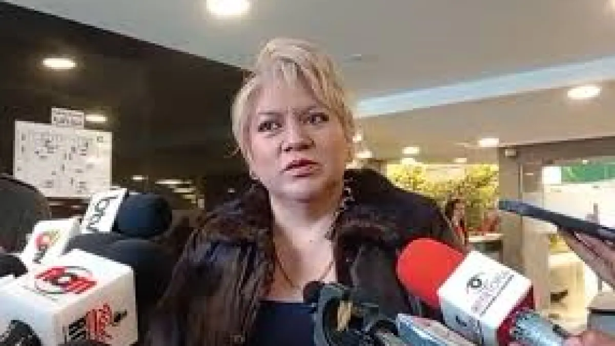 “Si vemos que pdte realiza el estado de excepción, nosotros como bloque Pro Bolivia (PDC) vamos a pedirle que dé un paso al costado”