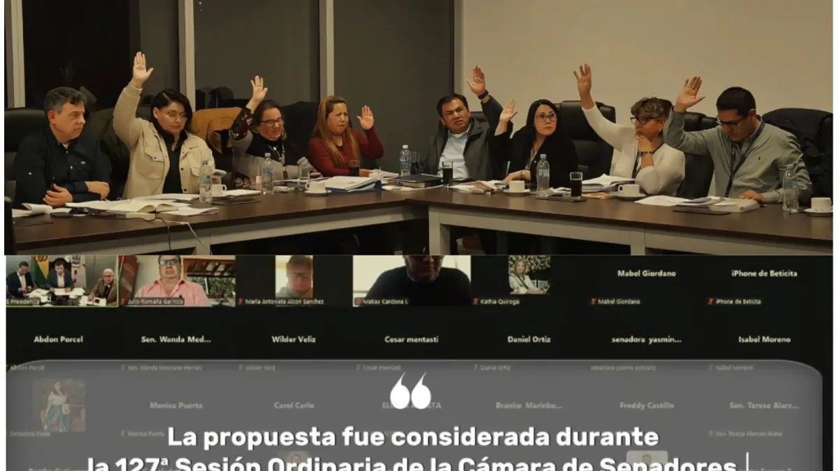 Nelson Cox: la ley de excepción podría contradecir estándares interamericanos de derechos humanos